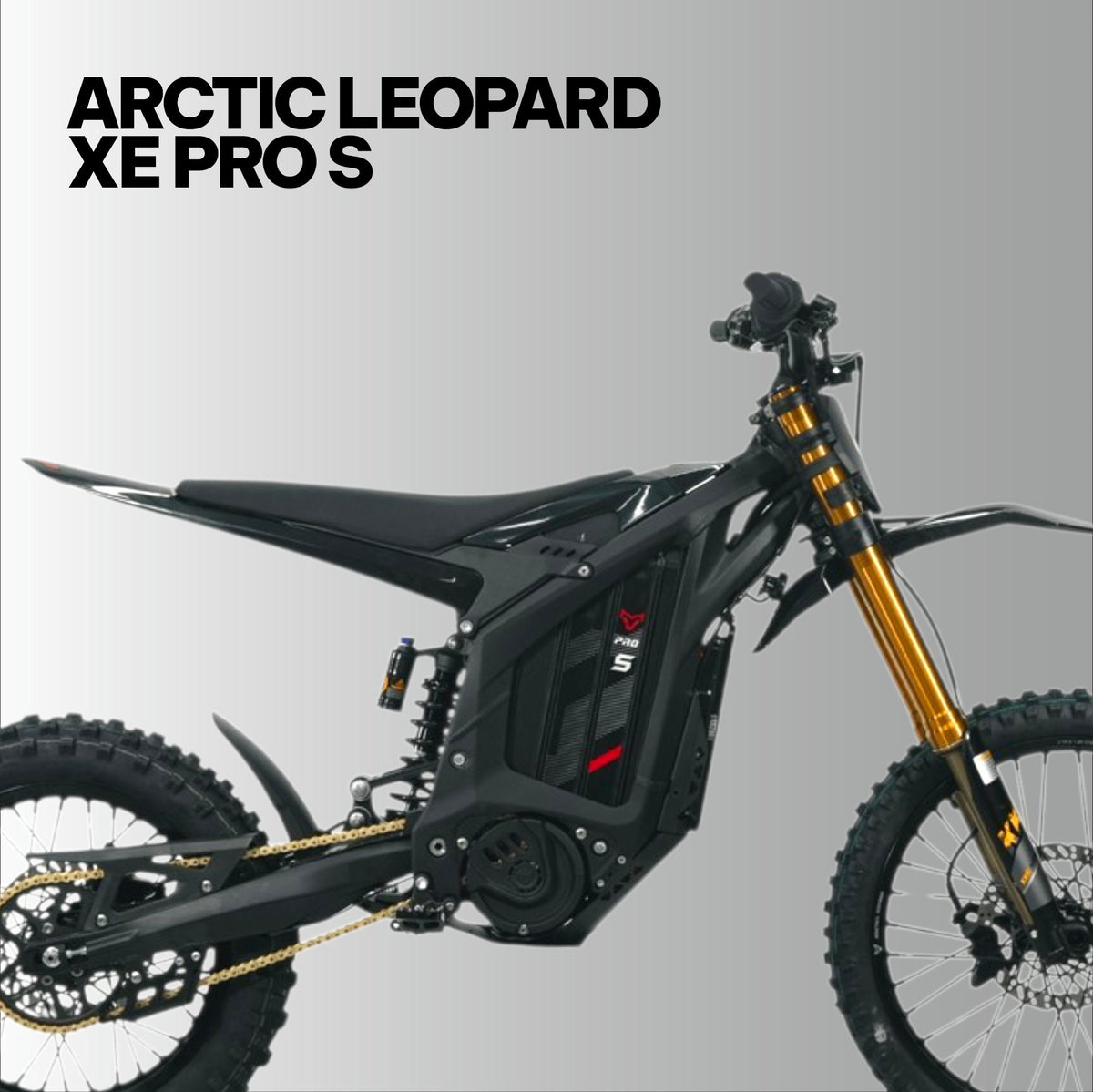 Arctic Leopard XE Pro S