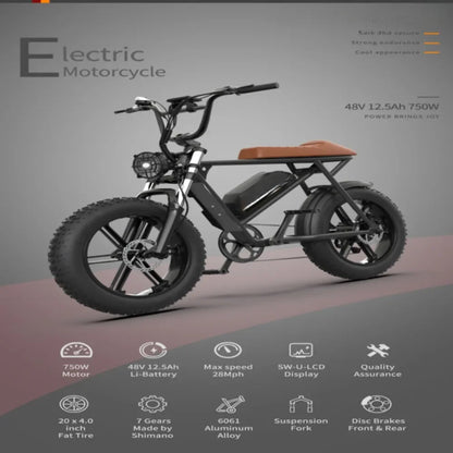 750W Motor Electric Bike - 48V Battery, 20" Wheels