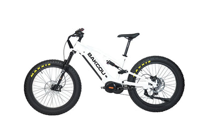 Scout Electric Bike